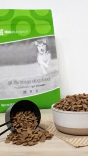 🐾 Highly-rated #dog food that is delivered to your door!! 🥇 NEVER RECALLED! #smallbusiness #lifesabundance rep link in bio.