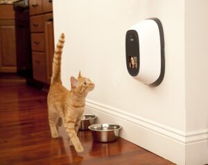 Cat Smart Pet