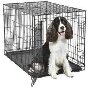 wire dog crate