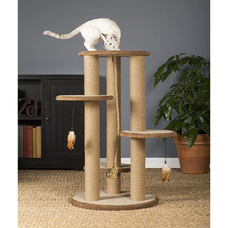 cat scratching post