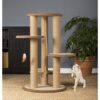 cat scratching post