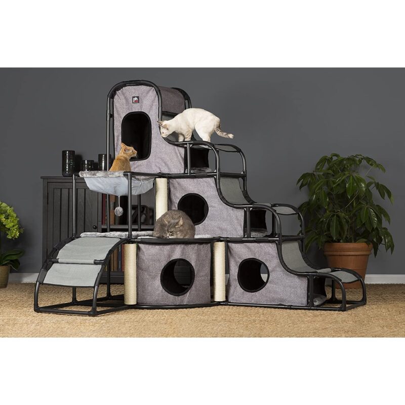 cat trees