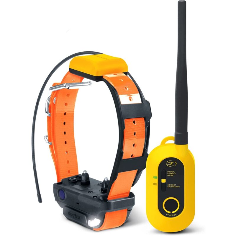 Dogtra Pathfinder 2 GPS Dog Tracker Training Collar The Modern Pet USA