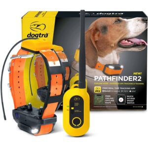 Dogtra Pathfinder 2 GPS Dog Tracker Training Collar The Modern