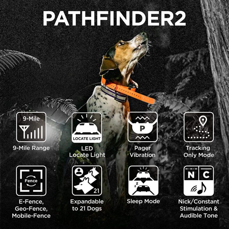 GPS dog tracking collar