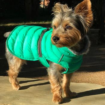 dog clothes winter puffer coat