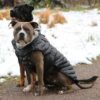 dog clothes winter puffer coat black