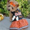 dog clothes Halloween dress