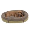 comfy cup dog bed sage