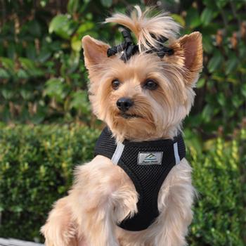 dog harness black