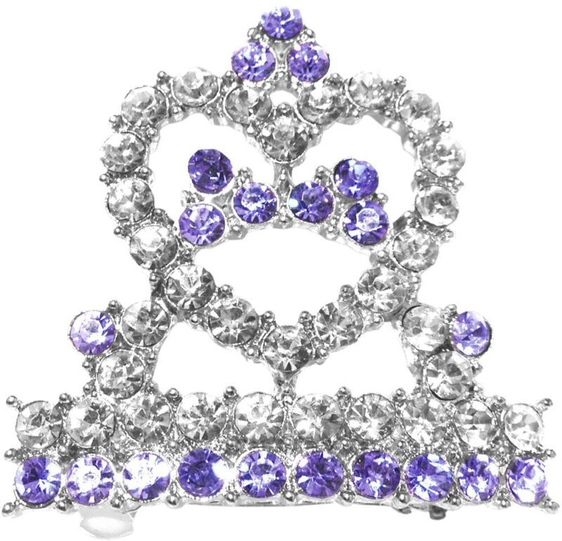 barrette tiara purple