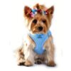 dog harness light blue