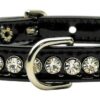 jewel beverly dog collar blk