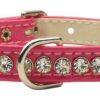 jewel beverly dog collar bright pink