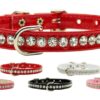 jewel beverly dog collar group