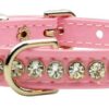 jewel beverly dog collar pink