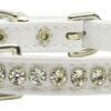 jewel beverly dog collar white