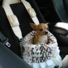 snuggle car seat