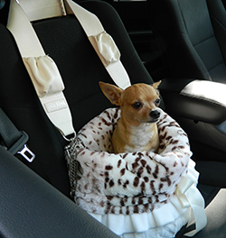 snuggle car seat