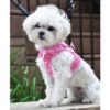 dog clothes harness