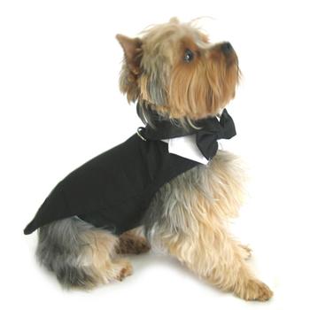 dog tuxedo harness