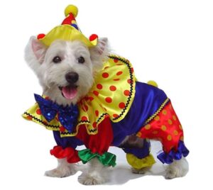 dog costumes