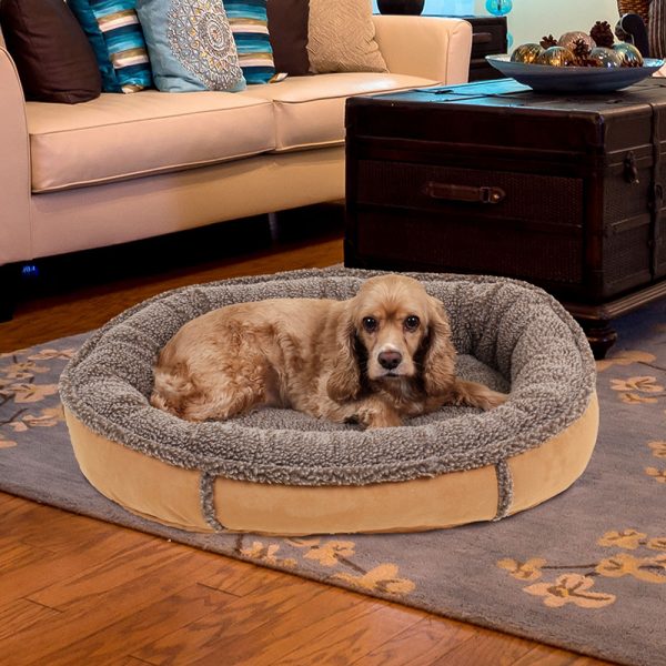 comfy cup dog bed saddle