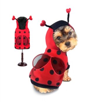 dog costumes