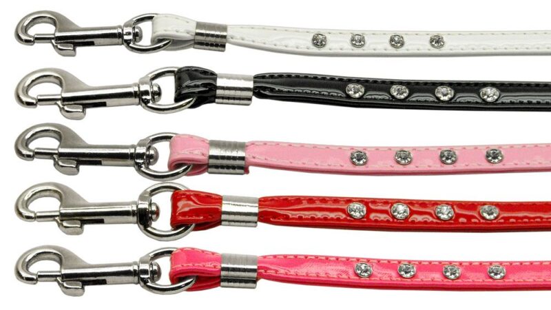 dog leash jeweled group