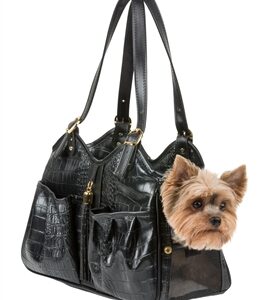 designer dog carrier