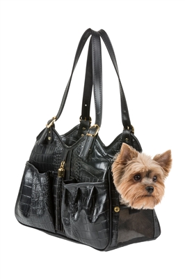 designer dog carrier