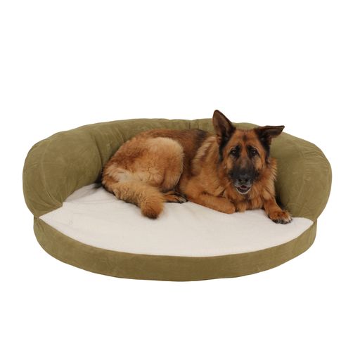 large dog bed