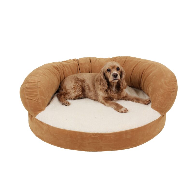 orthopedic dog bed