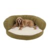 dog bed