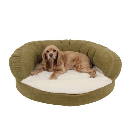 dog bed