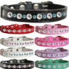 posh jeweled cat collar group