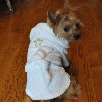 dog clothes robe