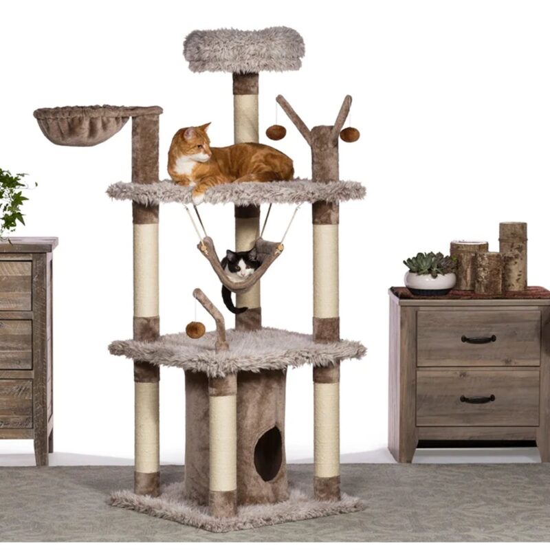 cat tree