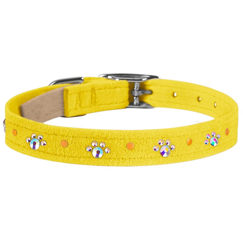 Susan Lanci crystal paws custom dog collar SUNSHINE