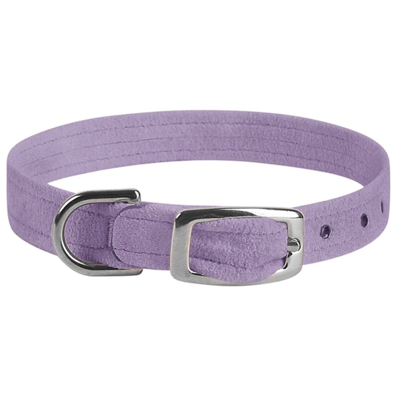 Susan Lanci crystal paws custom dog collar French Lavender