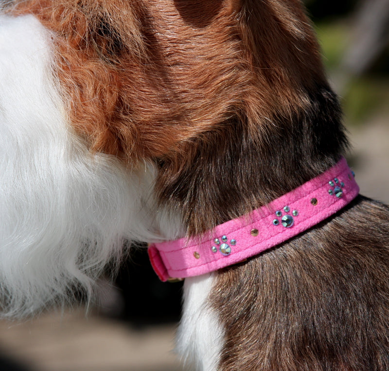 Susan Lanci crystal paws custom dog collar