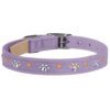 Susan Lanci crystal paws custom dog collar French Lavender