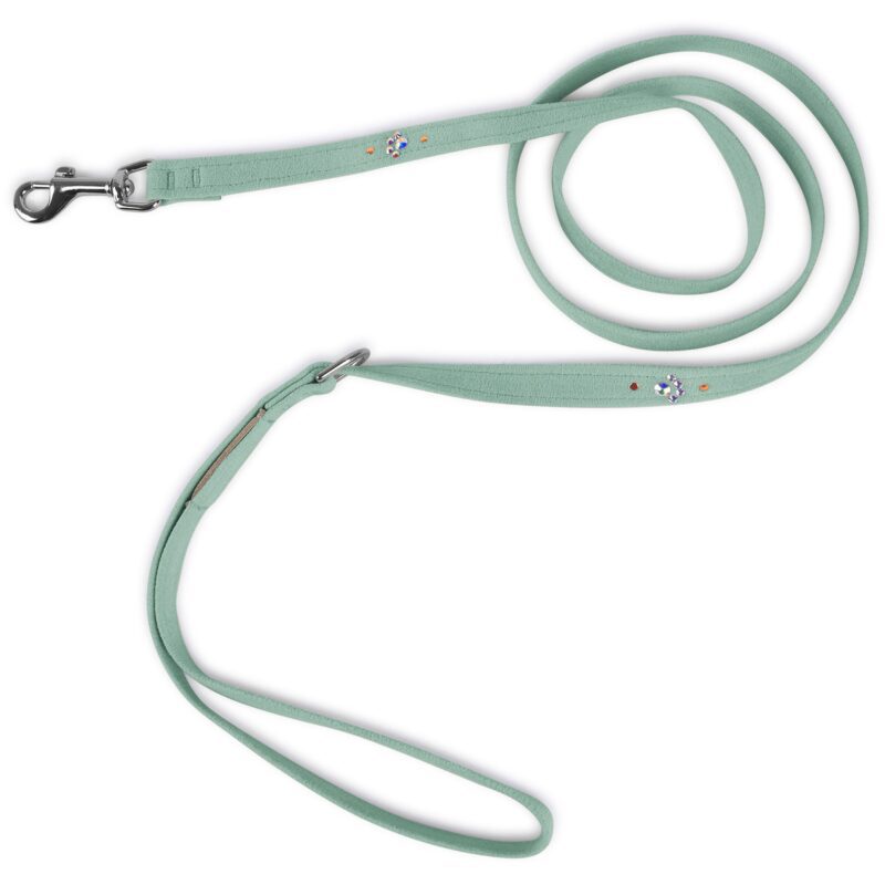 crystal paws leash mint