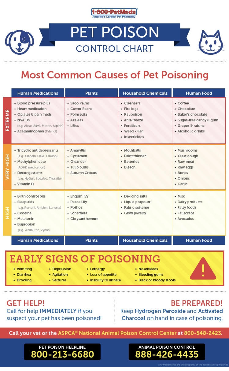 pet poisoning chart