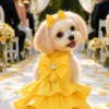 Madison dog dress sunshine lifestyle maltese Madison dog dress sunshine lifestyle maltese