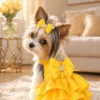 Madison dog dress sunshine lifestyle small dog Madison dog dress sunshine lifestyle small dog