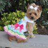 ice cream dog dress with matching leash