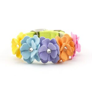 Susan Lanci rainbow flower dog collar