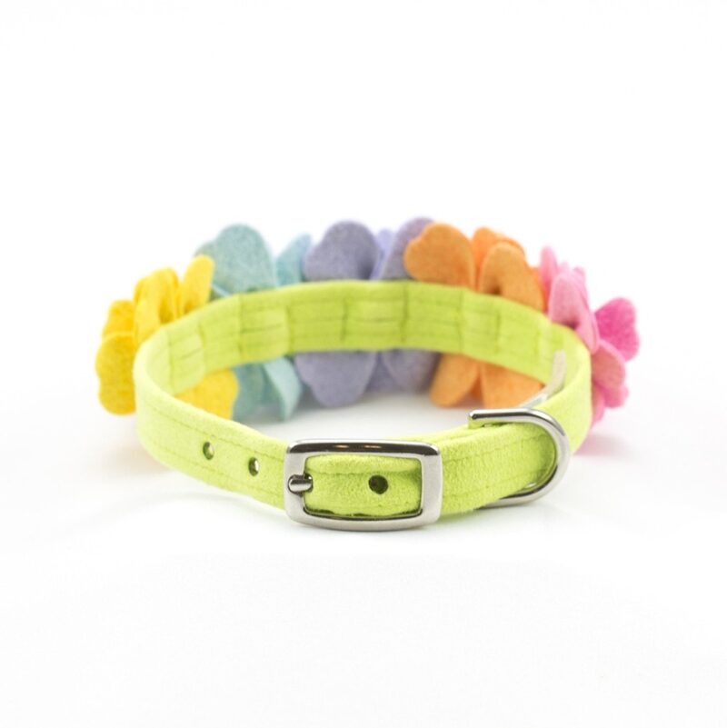 Susan Lanci rainbow flower dog collar