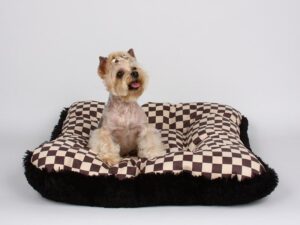 Susan Lanci windsor check square dog bed black shag